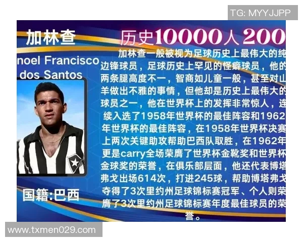 全球足球明星大盘点各国代表性球员及其辉煌成就分析